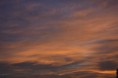 /album/fotogaleria/dsc-0152-jpg/