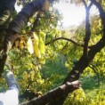 /album/fotogaleria/a12179366-10205422897673275-830574298-n-jpg/